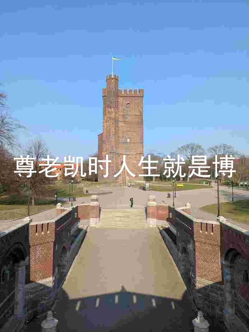 尊老凯时人生就是博