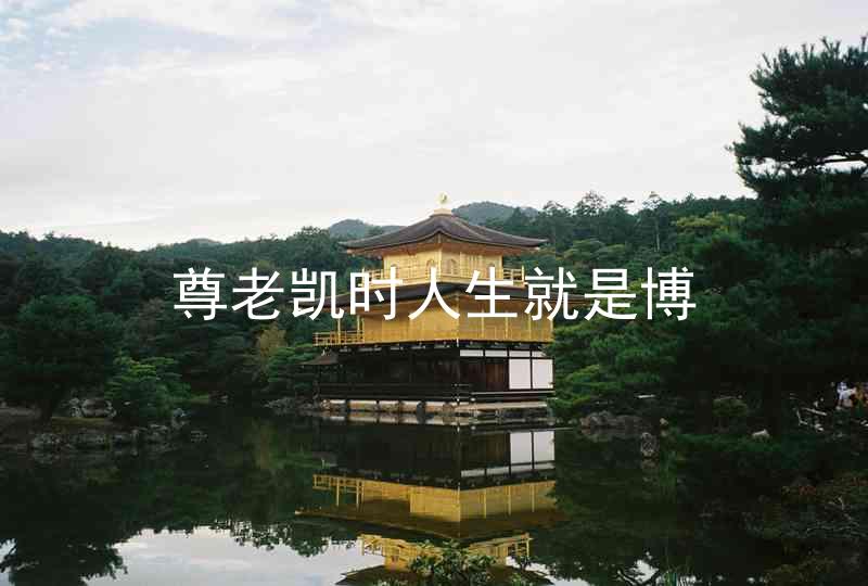 尊老凯时人生就是博